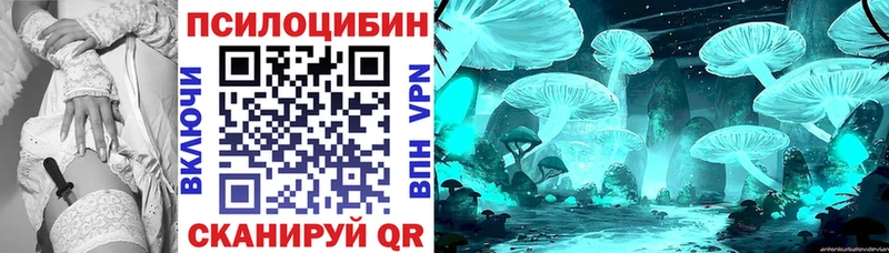 Галлюциногенные грибы мухоморы  Купить где  Вологда 