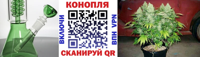 Бошки марихуана AK-47 Вологда